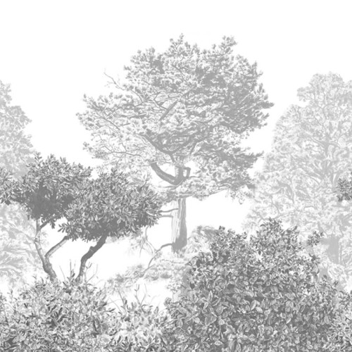 Szare Drzewa Hua - Sian Zeng