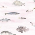 Ryba, rózowa, Fish Wallpaper Pink, Sian Zeng