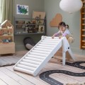 Sebra Roller Slide.jpg