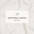 Sophora Leaves - Sebra