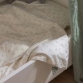 Pościel Junior 140x100 - Bed linen, junior, Sophora Leaves - Sebra