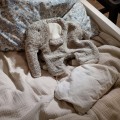 Mięciutki słonik Termofor, Heating Soft Toy, Fanto - Sebra