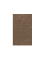 Próbka dywanu w kolorze Ash Brown .png